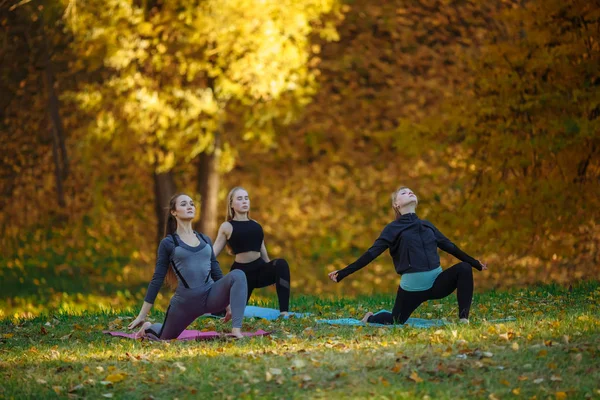 Grupo de mulheres jovens fazendo exercícios de ação de Yoga no parque. Conceito de estilo de vida saudável . — Fotografia de Stock