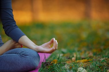 Genç uygulayıcıları Park Yoga egzersizleri yapıyor. Kadın meditasyon açık güzel sonbahar doğa infront. El coseup, seçici odak.