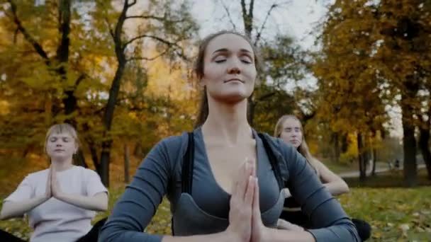 Grupo de mulheres jovens praticando ioga ao ar livre. Mulheres meditar ao ar livre na frente da bela natureza outono . — Vídeo de Stock
