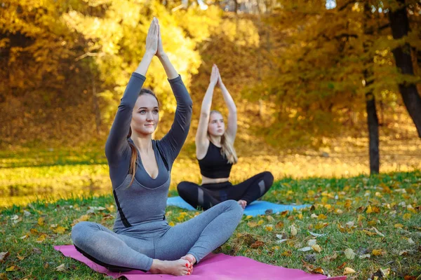 Grup Genç kadını sonbahar Şehir Parkı yoga egzersizleri yapıyor. Sağlık yaşam tarzı kavramı.