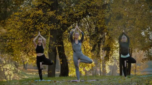 Gruppe junger Frauen, die Yoga-Übungen machen, bewegen sich gesund im Park. Konzept für gesunden Lebensstil. — Stockvideo