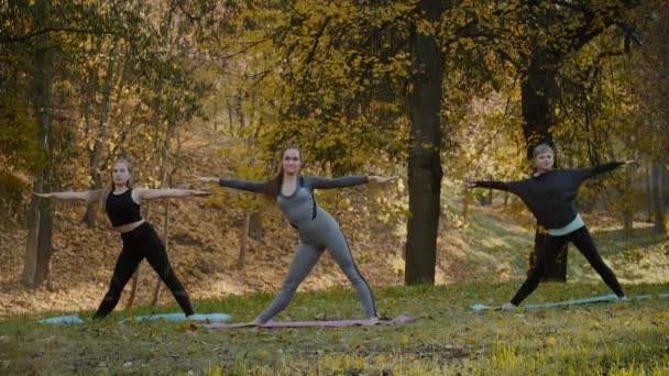 Gruppen unga kvinnor gör action Yogaövning friska i parken. Hälsa livsstilskoncept. — Stockvideo