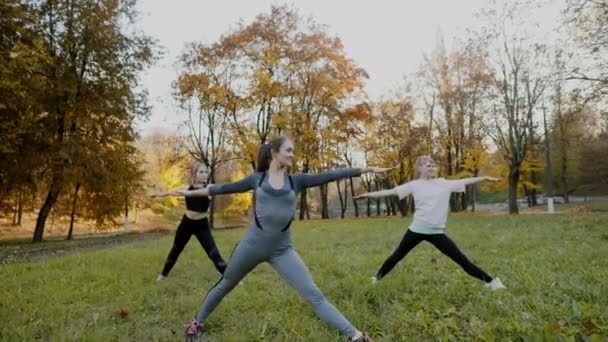 Gruppen unga kvinnor gör action Yogaövning friska i parken. Hälsa livsstilskoncept. — Stockvideo