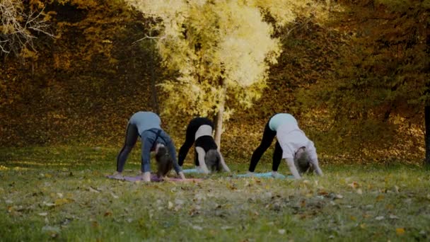 Gruppen unga kvinnor gör action Yogaövning friska i parken. Hälsa livsstilskoncept. — Stockvideo