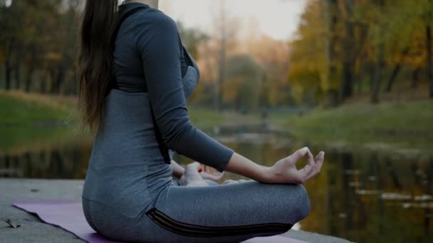 Jovem praticando ioga ao ar livre. Feminino meditar ao ar livre na frente da bela natureza outono . — Vídeo de Stock