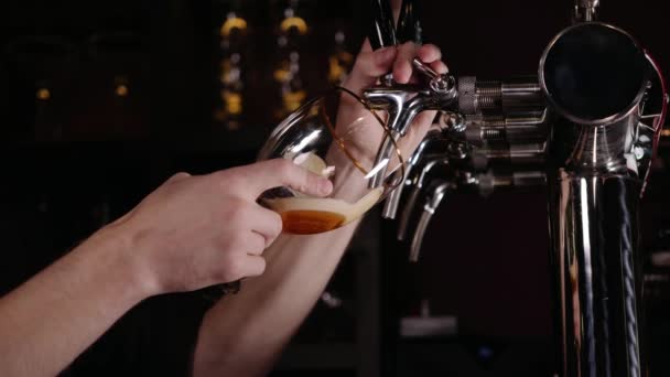 レストランやパブでのタップで大規模なラガー ビールを注ぐバーテンダーの手. — ストック動画
