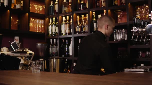 Cantinero poniendo hielo y vertiendo whisky en vaso — Vídeo de stock