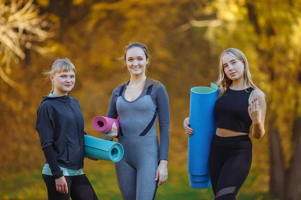 Genç Grup bir Portren Kadınlar yoga egzersizleri sonbahar şehir parkı için hazırlanıyor. Sağlık yaşam tarzı kavramı.