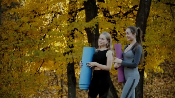 Groep van jonge vrouwen ontmoeten befor yoga oefeningen in de herfst stadspark. Gezondheid levensstijl concept. — Stockvideo