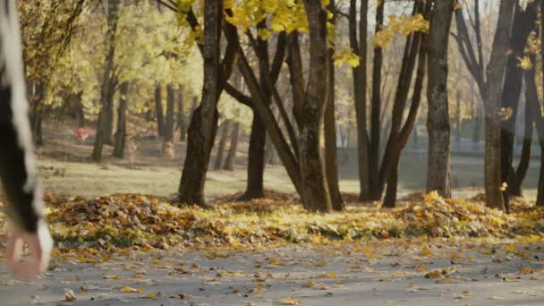 Grupo de mujeres jóvenes que se preparan para ejercicios de yoga en el parque de otoño de la ciudad. Concepto estilo de vida . — Vídeos de Stock