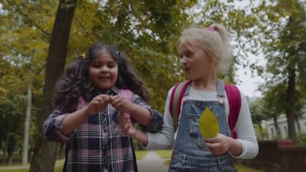 Tres amigos con mochilas van a la escuela. Grupo Mixto Racial de Niños Escolares Caminando en el Parque tomados de la mano. Disparo de cámara lenta . — Vídeos de Stock