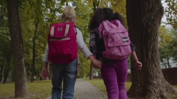 两个背着背包的朋友要去上学了。在公园散步的学童混合种族组的后视图。慢动作射击. — 图库视频影像