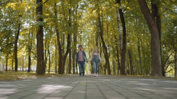 Drie vrienden met rugzakken gaan naar school. Gemengde raciale groep van school kinderen wandelen in het Park handen vasthouden. Slow Motion-opname. — Stockvideo