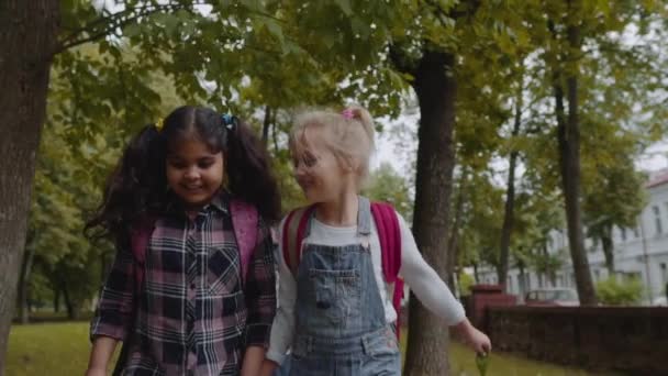 バックパックを持つ3人の友人が学校に行きます。手をつないで公園を歩く学校の子供たちの混合人種グループ。スローモーションショット. — ストック動画