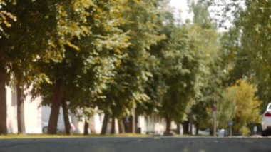 İş kadını Bacaklar Yüksek Topuklu Ayakkabılar karşıdan karşıya geçiyor. Kadın elinde fation çanta tutarak. Yavaş Çekim Çekimi.