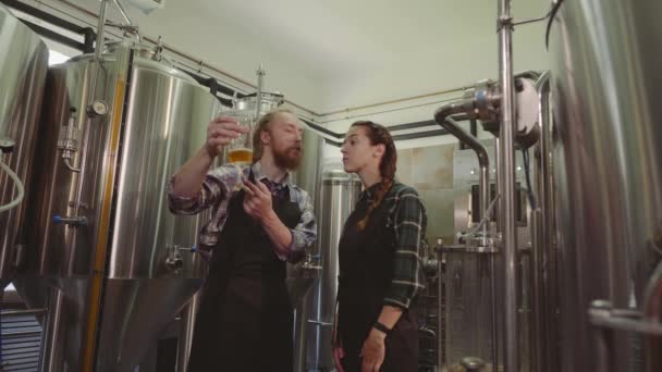 ビール醸造所の労働者は、ガラス管で作りたてのビールを見て、それを議論します。醸造所工場でビールをテストする男性と女性の醸造業者。4k. 中小企業のコンセプト. — ストック動画