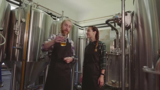 Trabajadores cerveceros mirando cerveza recién hecha en tubo de vidrio y discutiéndolo. Cervecera macho y hembra probando cerveza en la fábrica de cerveza. 4k. Concepto de pequeña empresa . — Vídeo de stock