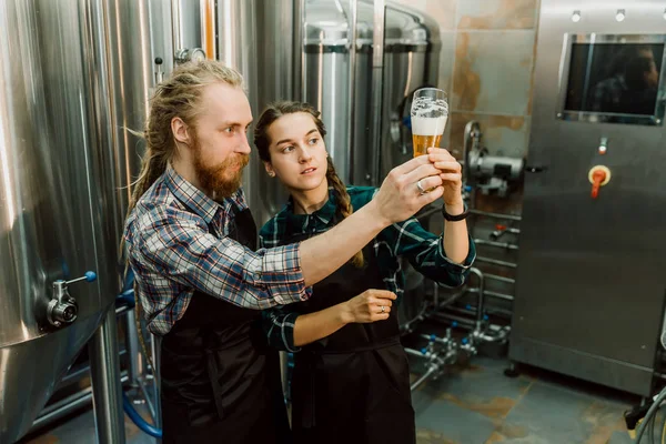 양조장 근로자는 유리 튜브에서 갓 만든 맥주를보고 논의합니다. 양조장 공장에서 맥주를 테스트하는 남성 및 여성 양조장. 4k. 소규모 비즈니스 개념. 스톡 사진