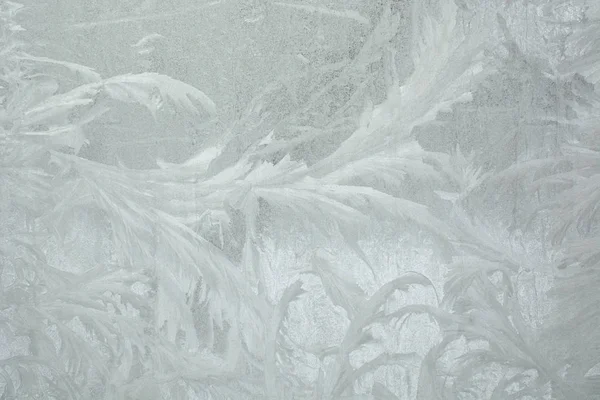 Frost Window — Stock Photo, Image