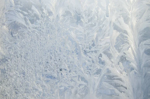 Frost Window Stock Photo