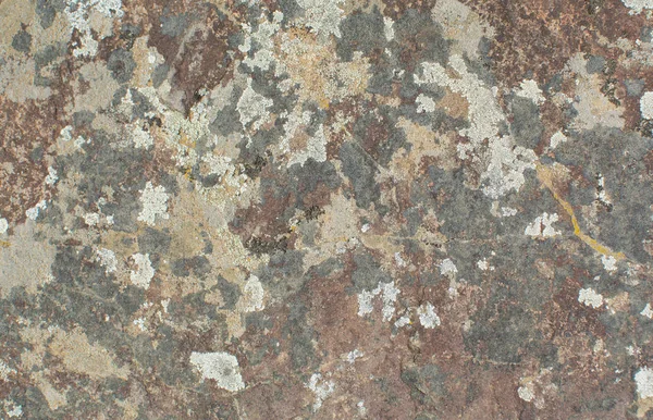 Textura Piedra Lichens Fondo Natural — Foto de Stock