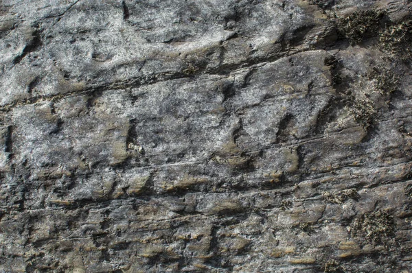 Texture of dark stone. Scratches. Black lichen. Natural background — Stock Photo, Image