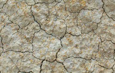 Dünyanın dokusu. Doğal doku. Doğal arka plan. Çatlamış toprak