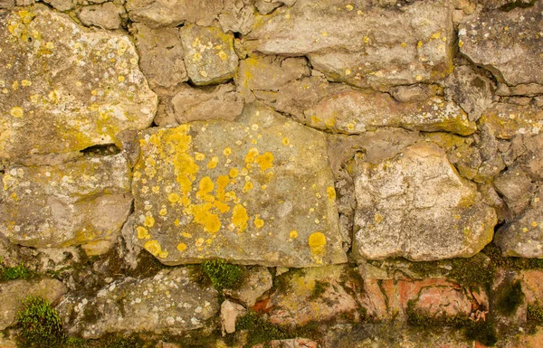 Texture Vecchio Muro Mattoni Ricoperto Muschio — Foto Stock