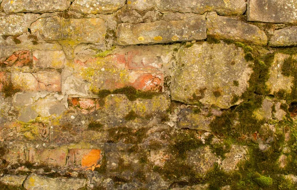 Текстура Старої Цегляної Стіни Вирощеної Мохом — стокове фото