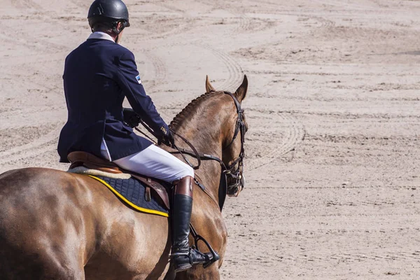 Cavalier Sautant Athlète Monte Cheval Rouge — Photo