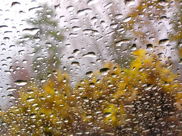 Rain Drops Glass — Stock Photo, Image