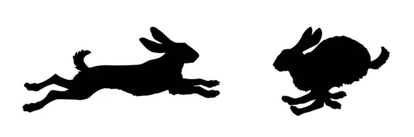 Silhouettes Isolées Noires Lièvres Sauteurs Sur Fond Blanc Silhouettes Animaux — Image vectorielle