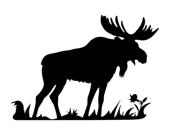 Vector-isolated black silhouette of one moose on white background 