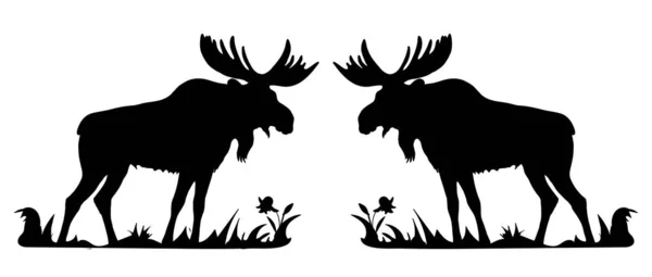 白色背景上两个黑鹿的矢量隔离剪影 — 图库矢量图片