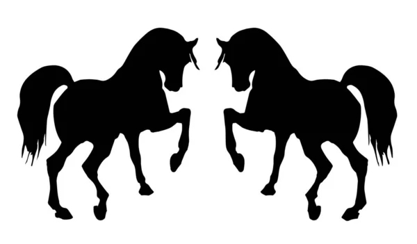 Vektorový Izolovaný Obraz Černých Siluet Dvou Koní Bušícího Kopyta — Stockový vektor