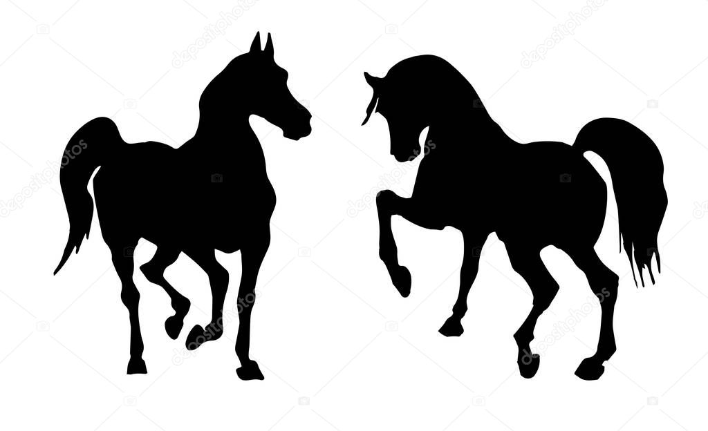 vector isolated image of black silhouettes of two horses beating hoof 