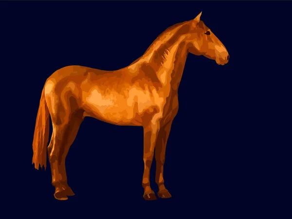 a beautiful Spanish horse stands still, isolated  realistic image on a black background