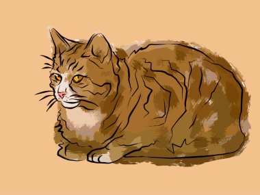 Renkli bir arka planda uzanan renkli bir kedinin izole edilmiş renkli görüntüsü, dekorasyon ve kartpostallar için