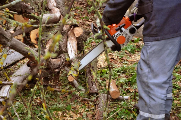sonbahar bahçe bir chainsaw budama ağacın dallarında adamla