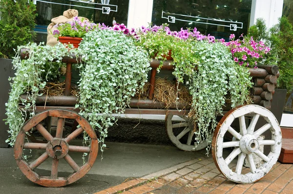 Una Carreta Con Flores Decoración Entrada Tienda — Foto de Stock