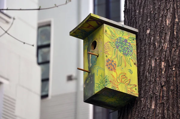 Squashbox. El cuidado de los animales y las aves, los problemas de supervivencia de las aves en la ciudad — Foto de Stock