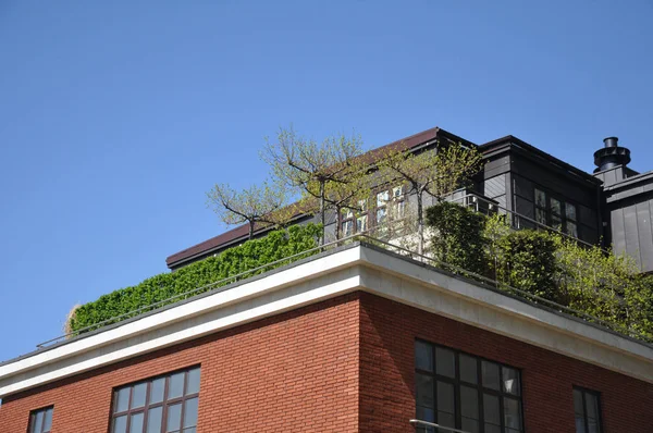 Área de recreação verde individual no telhado de um edifício de vários andares . — Fotografia de Stock