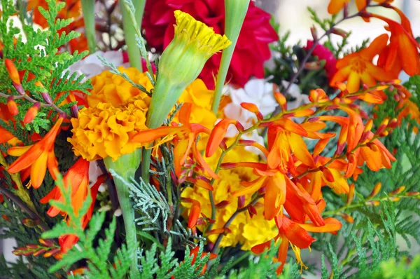 Belo buquê de flores brilhantes. fundo, textura . — Fotografia de Stock