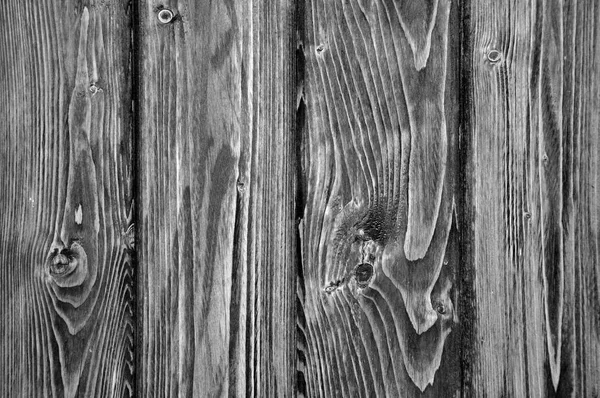Old textured wood panel. Element for designers.