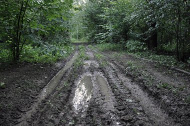 Yağmur sonrası orman yolu. Kir üzerinde tekerlek parça.