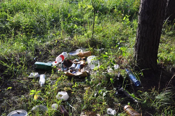 Sopor i skogen. Människor kastade olagligt skräp i skogen. — Stockfoto