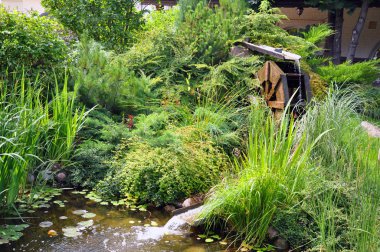 Bahçede düşen su ile mill tekerlek sürüş.