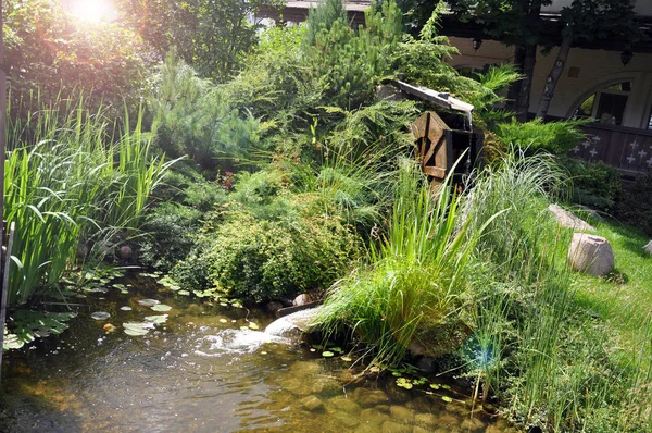 庭に落ちる水と運転ミルホイール. — ストック写真