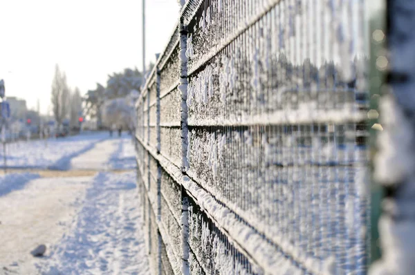 Pegado de nieve en una valla de metal en el fondo . — Foto de Stock