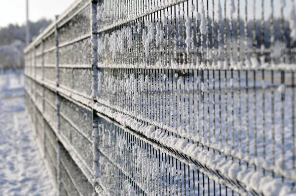 Pegado de nieve en una valla de metal en el fondo . — Foto de Stock